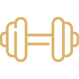 Birla Sector 31 Gurgaon - Gym